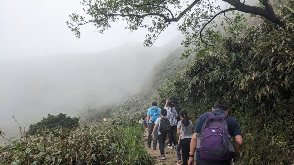 抹茶山 三角崙山2092457