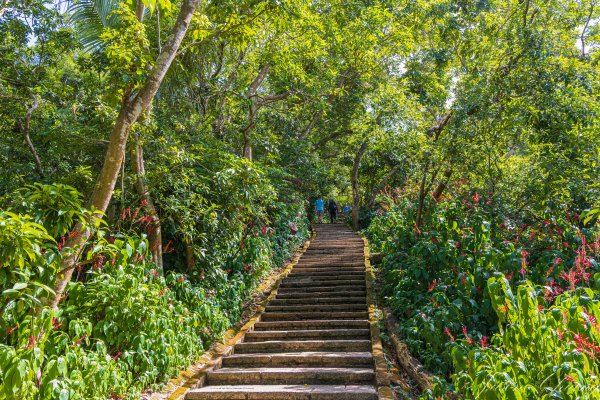 [台北]虎山親山步道、九五峰、南港山2911301