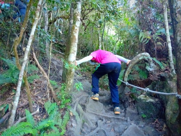 20211010_谷關七雄之白毛山1484733