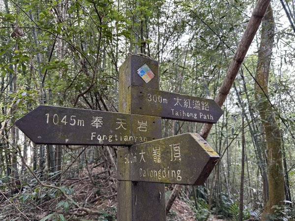 雲嘉十八連峰1932654