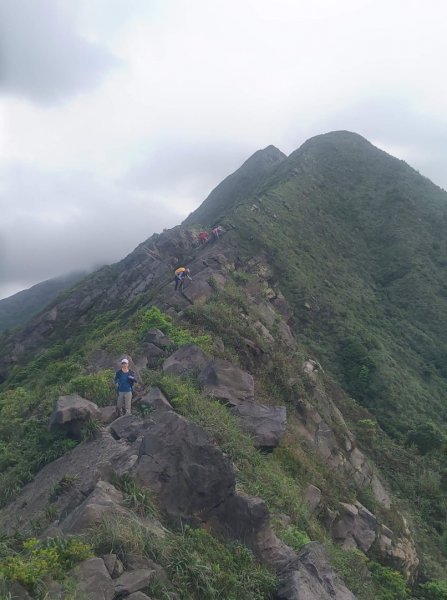 瑞芳半平山大峭壁鋸齒稜劍龍稜O型1675845