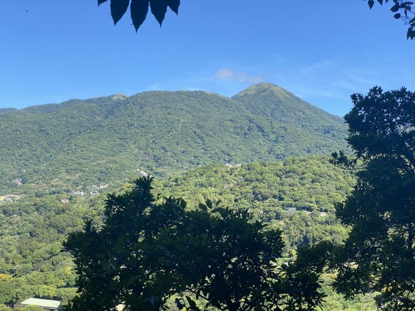 2024/09/16 天母古道（水管路） 紗帽山2884398