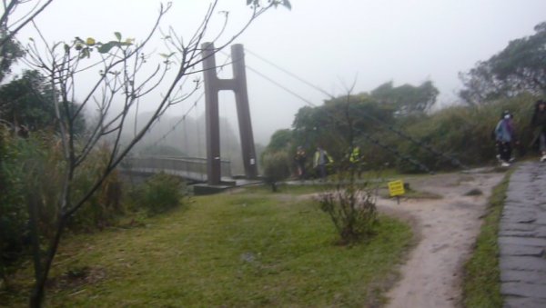 沿途群峰起伏、青青草原～風櫃嘴-冷水坑1246044