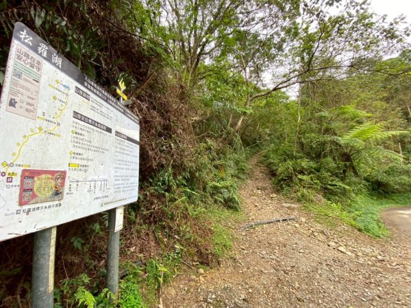 20240419-20松羅湖二天一夜2767334