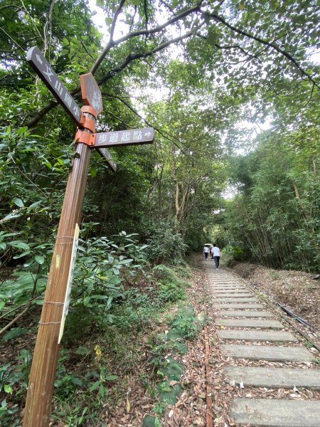 20250706-EP.06犁頭山、文山步道-2025森遊竹縣皮皮獅探險隊