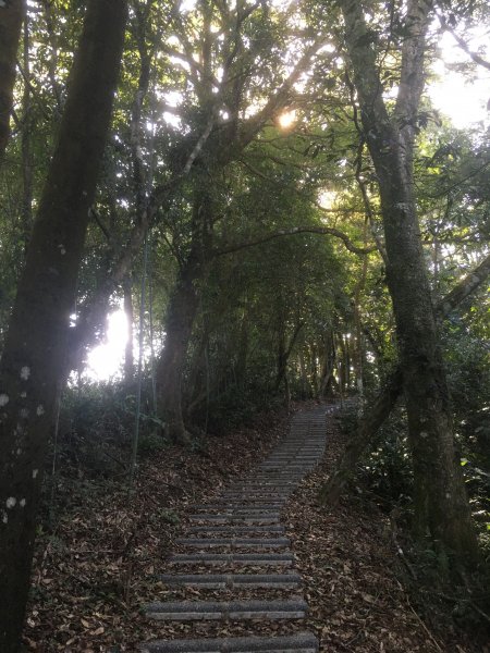 20210116-關刀山1238204