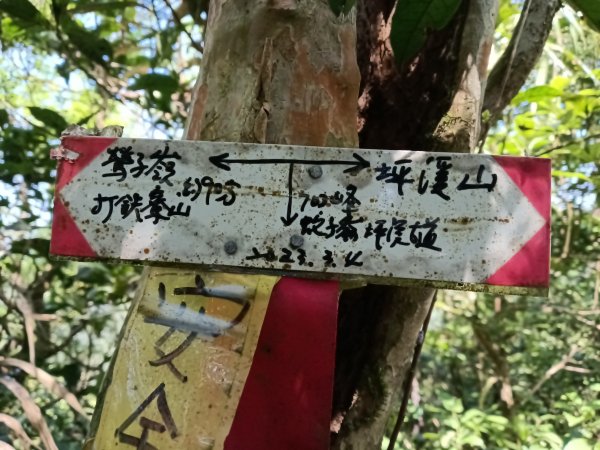 雙溪區坪溪古道-蛇仔崙-鶯子嶺-太和山-蛇子頭觀景台-梗枋越嶺古道鞍部-坪溪古道O型3029762