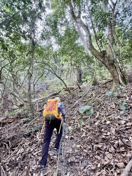 完登新南橫三星-馬馬宇頓山   2026.3.273027524