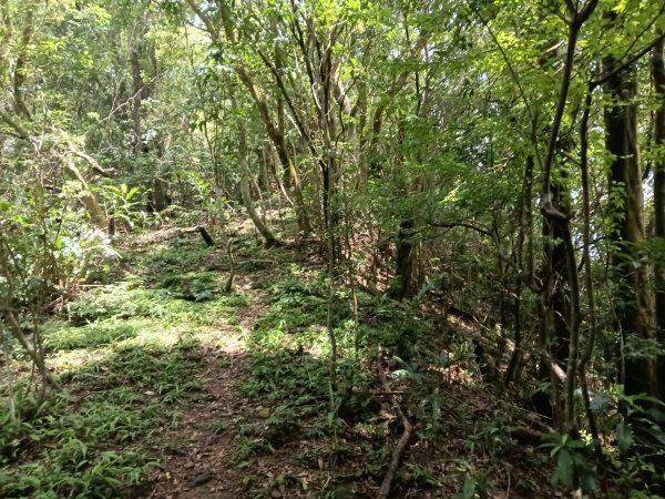 平溪區平溪子山遇雷雨O型2850126