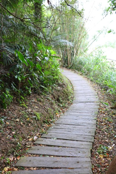 苗栗頭屋~湖畔悠悠好閒情~明德水庫海棠島888556