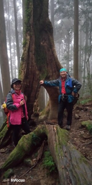 小百岳行~加里山(#34)，苗栗縣山501001