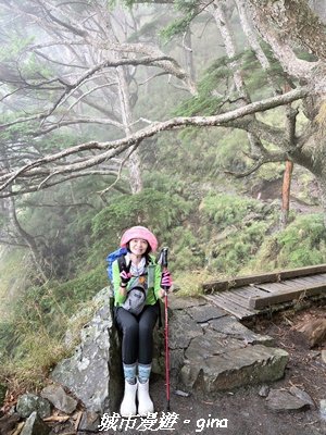 【南投信義】排雲山莊 x#15百岳_玉山西峰3111634