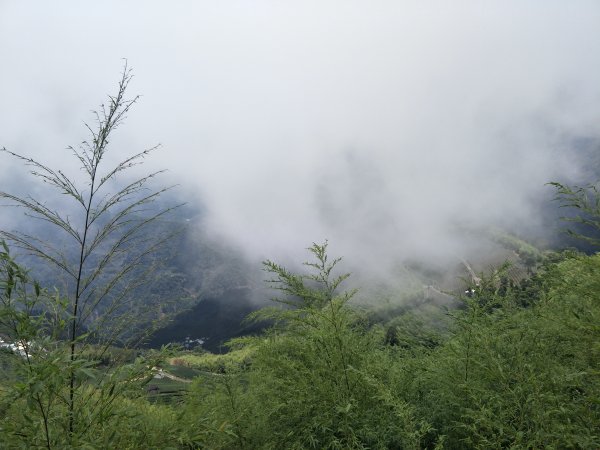 嘉義百大步道：桃荀古道與大尖山1414736