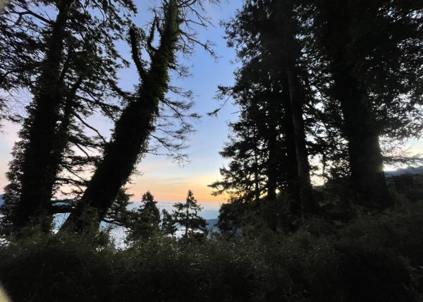 北ㄧ段-審馬陣-南湖北山-南湖北峰-南湖大山-南湖東峰2859105