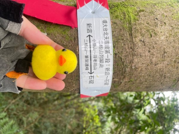 微笑山⛰️線-大棟-二格山-五分山-天上山-鳶山💎12條步道完成💙2834172