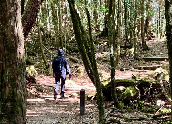 船型山環走大雪山210林道2978035