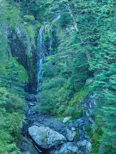 [百岳]能高越嶺逆走與奇萊南峰1042877