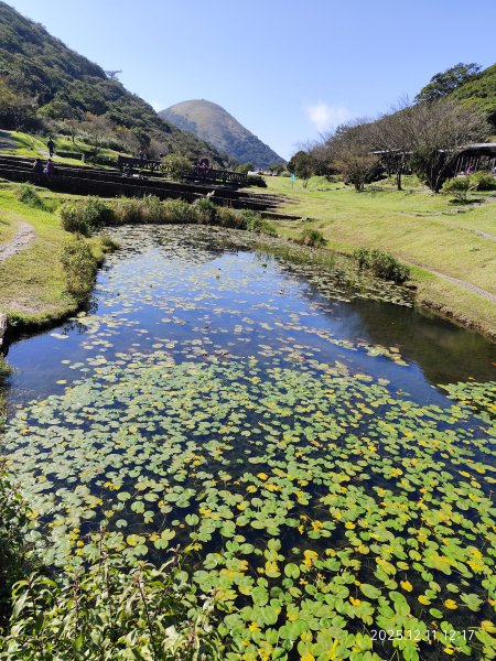 【臺北大縱走 2】【第二回合全程完成證書】鞍部→大屯山步道→大屯山主峰→大屯坪步道→二子坪步道2960415