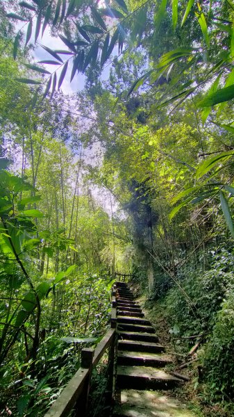 嘉義太興岩步道1751314