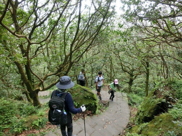 小油坑．七星山主峰．東峰．夢幻湖94976