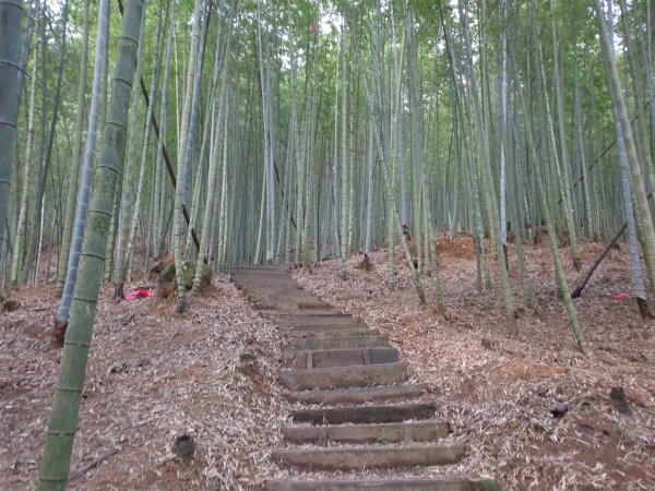 雲嘉南峰石壁山1558911