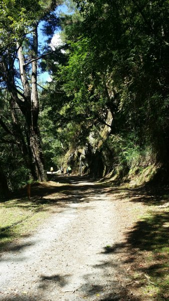 大霸群峰 107.10.19~21455232