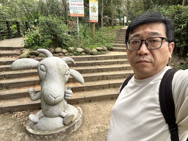 羊稠森林步道3020899