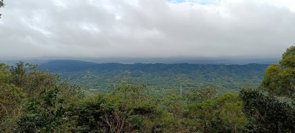 20231112_飛鳳山+觀日坪古道(含中坑山+石壁潭山)2344952