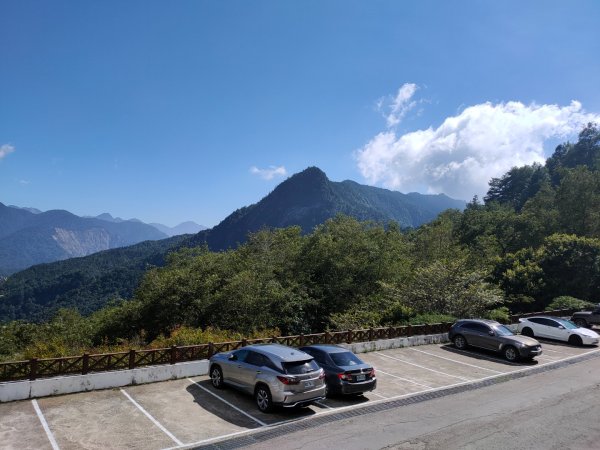 觀霧雲海山林之美2923624