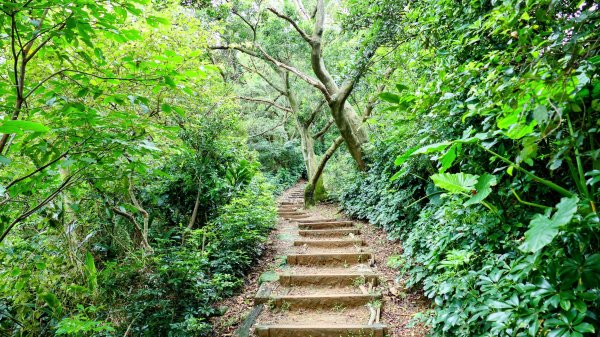 微笑山線405高地段2844152