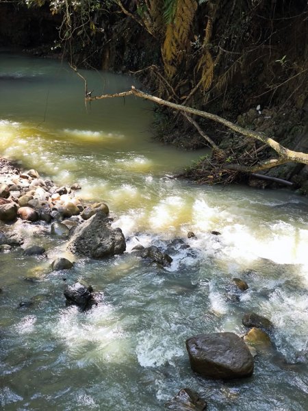 2024-08-22 澀水森林步道2578408