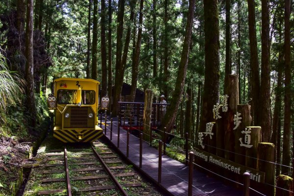 【新聞】久等了！太平山蹦蹦車7月10日全線恢復行駛