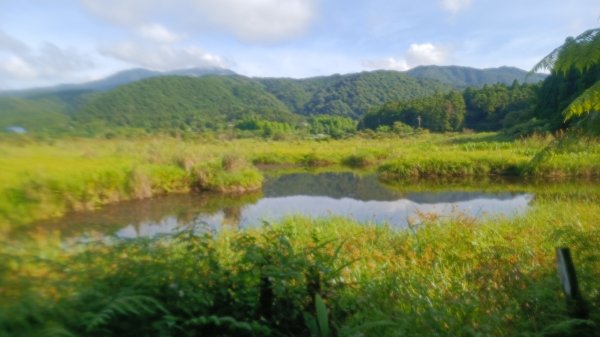 雙連埤環湖步道1747790