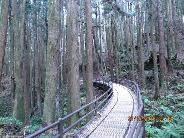 特富野古道449277