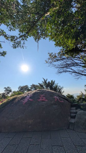 南港山步道3122071
