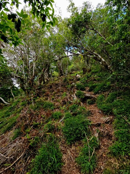 三星山-小百岳#85-宜蘭縣大同鄉2827531