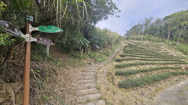 開眼崙步道，坪林老街2483058