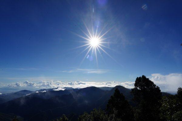 宜蘭 大同 望洋山、翠峰湖步道、山毛櫸步道2880734
