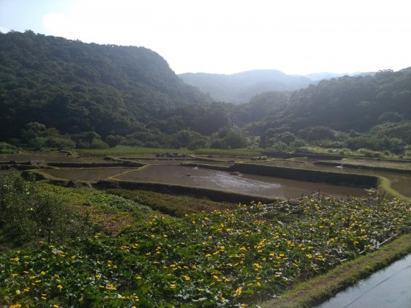 1080915草嶺古道同學會755803