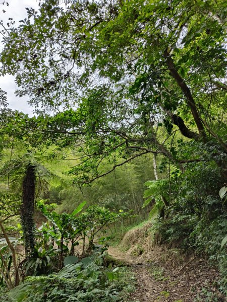 2023.12.27 大溪金面山2839319