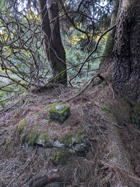 結界縱走三日(結城山、境界山、檜山)2920886