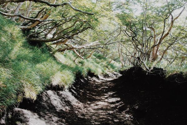 【富士山】第一次登富士山就單攻 須走路線400253