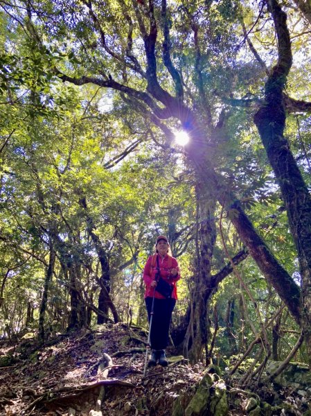 加里山縱走虎山    2021/12/41539200