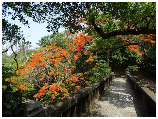 八卦山/文學步道967671