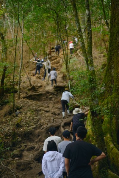 馬崙山步道2085824