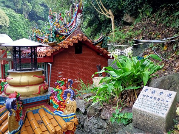 山清水麗的陽明山國家公園 (天母→猴洞→半嶺→湖山→陽峰古道→大屯瀑布→青春嶺→猴崁→竹子湖黑森林)1835187