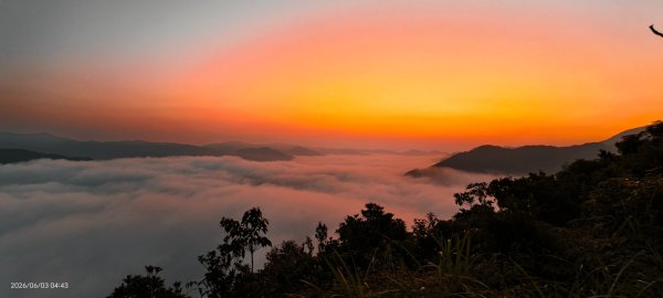 #坪林 #火燒雲 #日出 #雲海 #觀音圈 #金山 #花鳥蝶 6/3&4&163068869