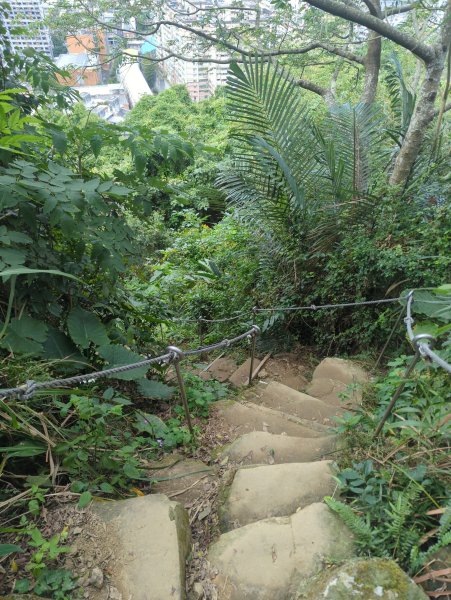 2026.01.25－微笑山線：【天上山系】烘爐地土地公段2994632