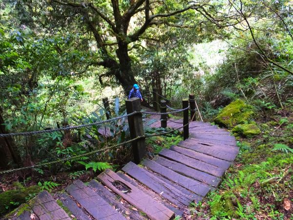 杉林溪松瀧岩瀑布、天地眼步道341457