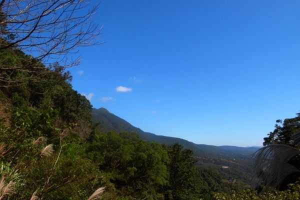 雷隱橋頂湖山O型走中正山觀景台(舊照片)393047